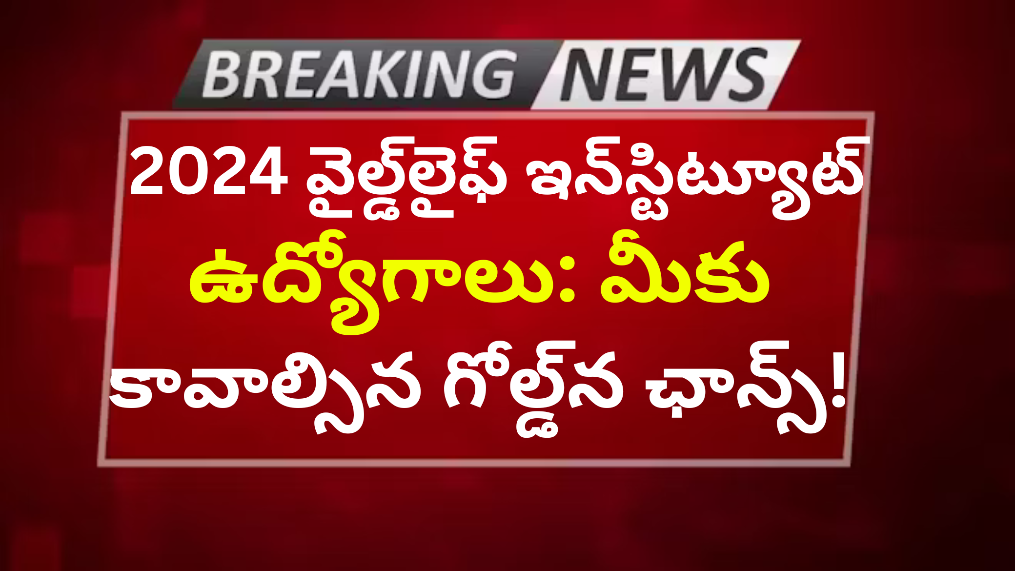 2024 వైల్డ్‌లైఫ్ ఇన్‌స్టిట్యూట్ ఉద్యోగాలు: మీకు కావాల్సిన గోల్డ్‌న ఛాన్స్!